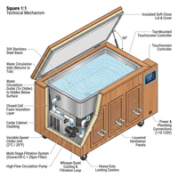 Cold Plunge Tub Built for Daily Recovery, 304 Stainless Steel Basin, Cedar Cabinet, Multi-Stage Filtration — How It Works