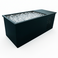 Cold Plunge Tub Built for Rapid Recovery, 316L Steel Basin, Integrated Chiller, Whisper-Quiet Operation